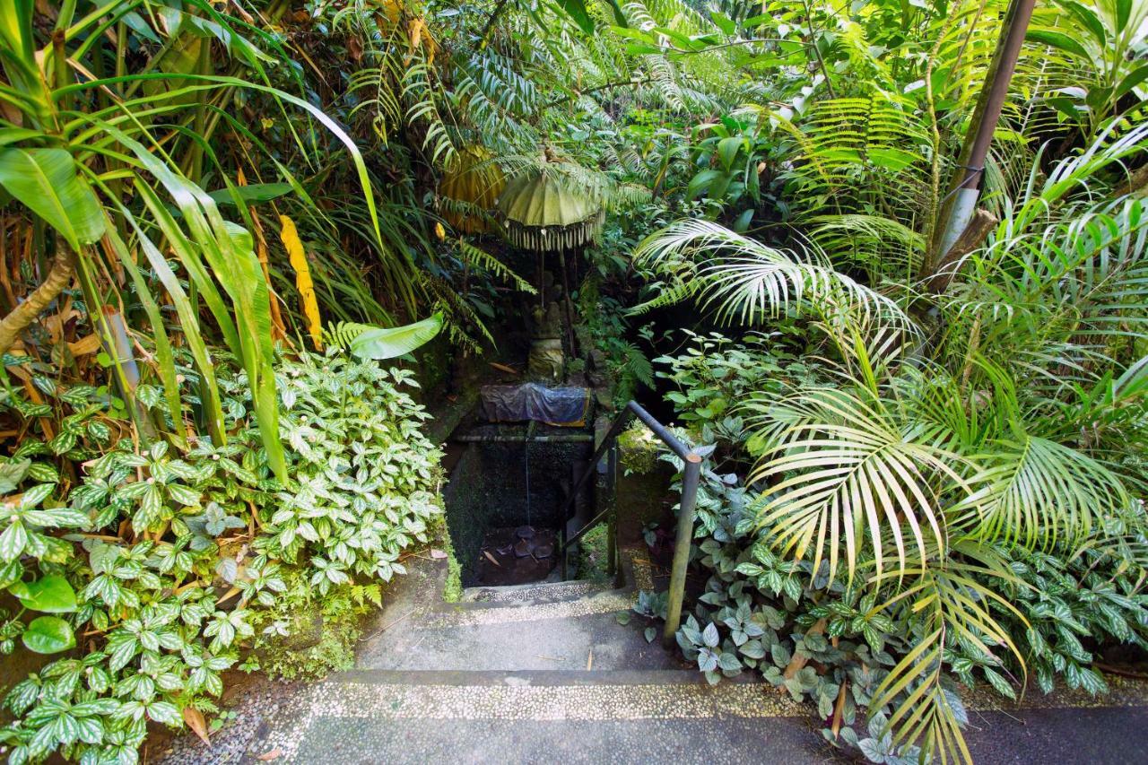 The Pari Sudha Hotel Ubud